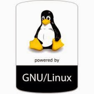 GNU-Linux Logo